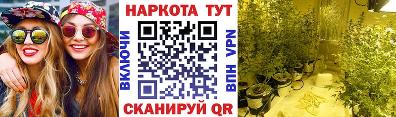 Наркошоп Сургут МЕГА как войти  Мефедрон  БУТИРАТ  Гашиш  Псилоцибиновые грибы  Альфа ПВП 