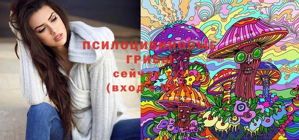 ПСИЛОЦИБИНОВЫЕ ГРИБЫ Арсеньев